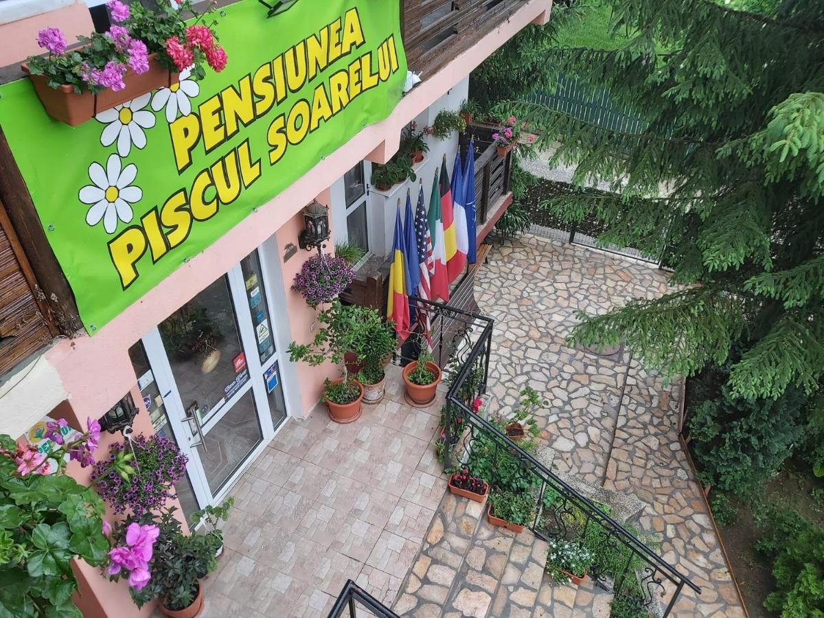 Pensiunea Agroturistica Piscul Soarelui 肯普隆格 外观 照片